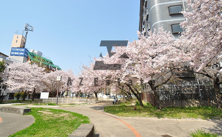 公園